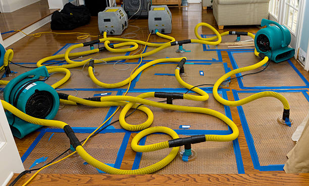 Professional Water Extraction technician working in Elmwood Park, NJ